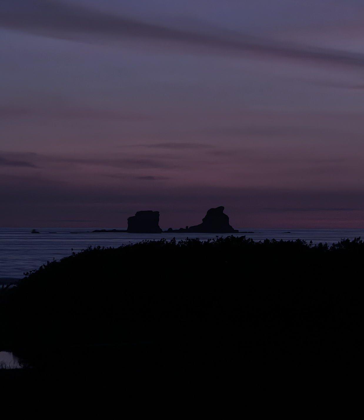 Sea stacks silhouetted against a purple coastal sky at dusk