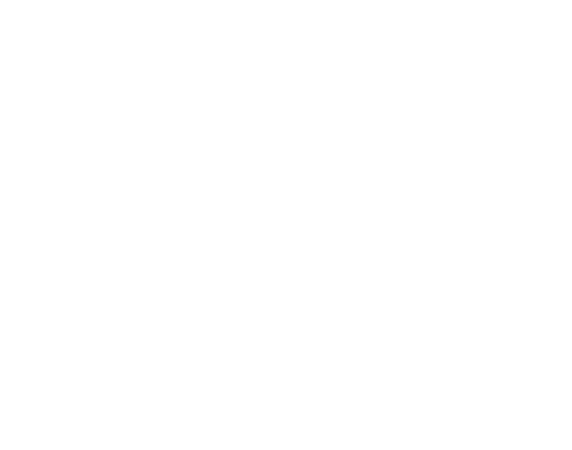 Laitop Consultancy logo